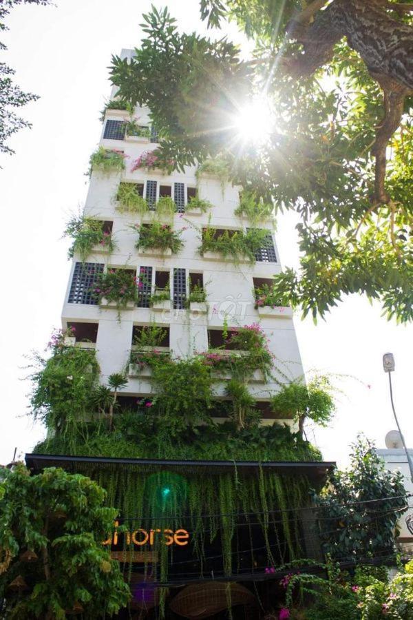 Seahorse Tropical Apartment Đà Nẵng Kültér fotó